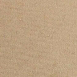 Pat continental Hortulus II (Mikrofaza 05)