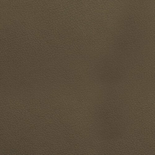 Pat Nota (Moale 030)