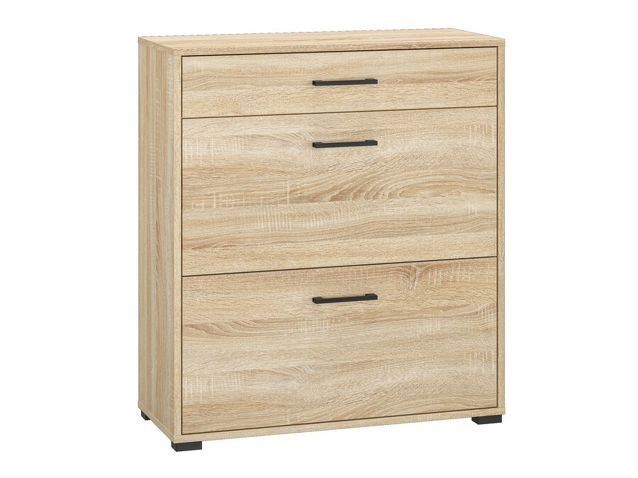 Dulap pentru pantofi Camtesu 109