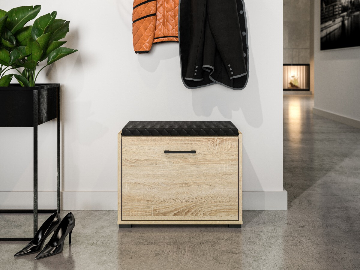 Dulap pantofi Camtesu 100
