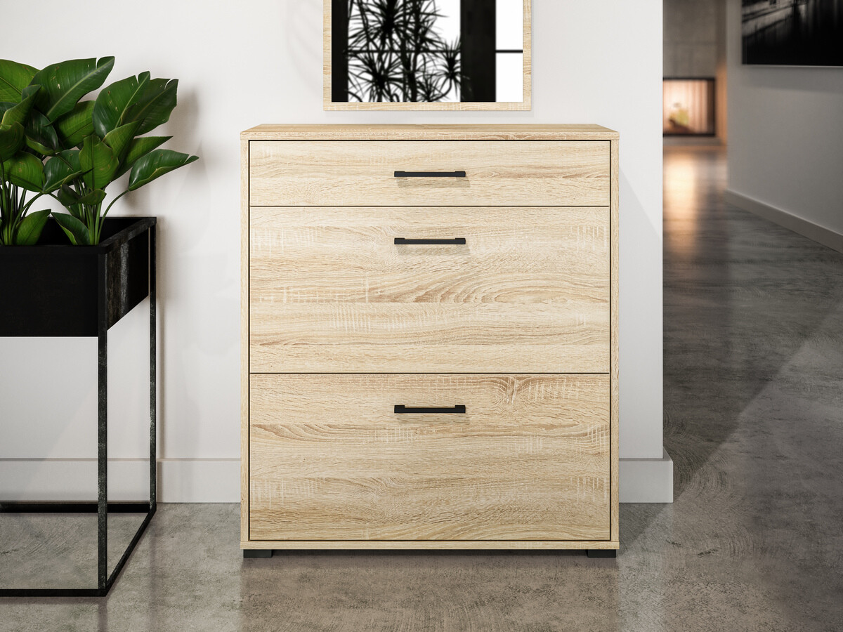 Dulap pantofi Camtesu 109