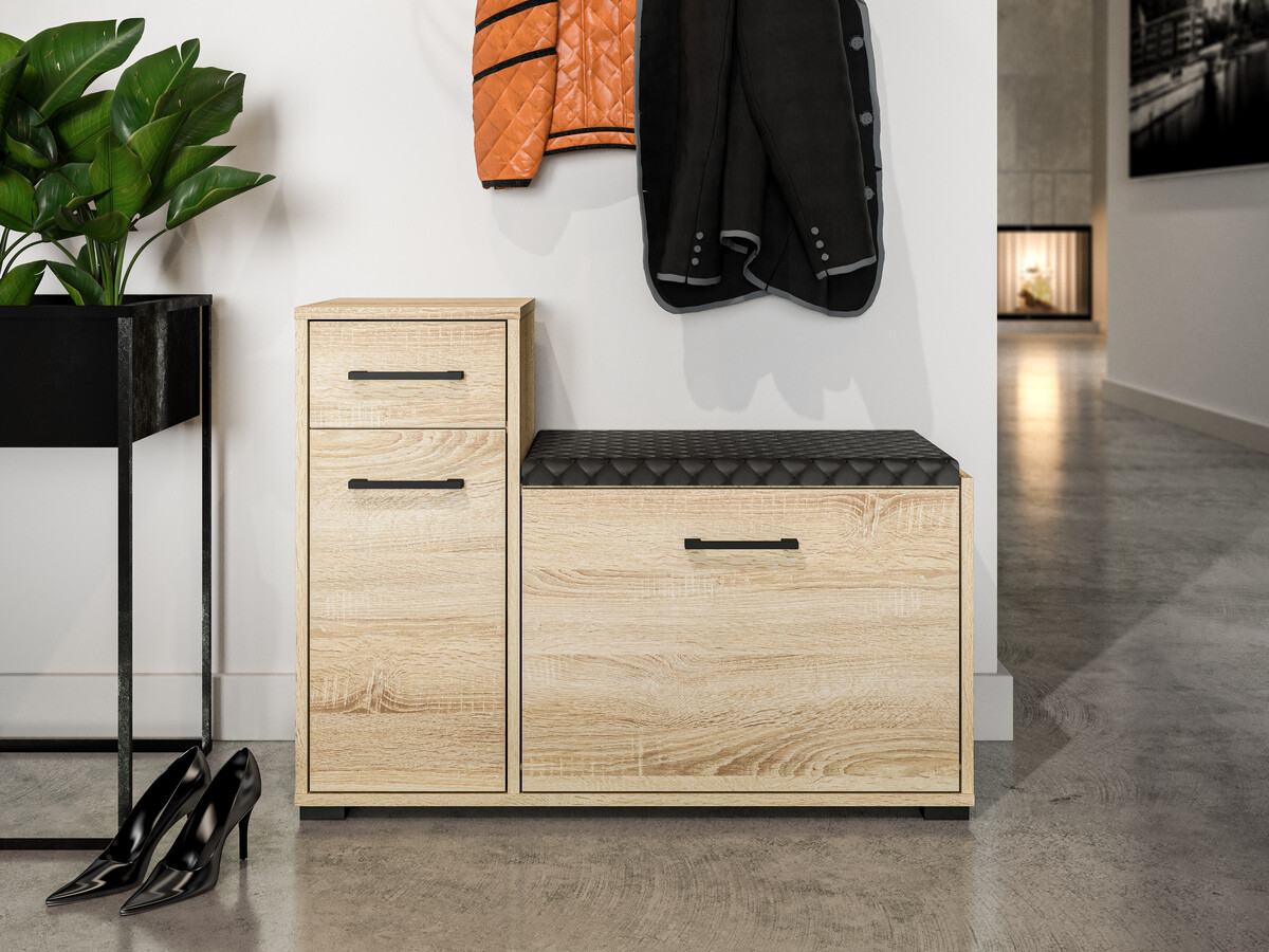 Dulap pentru pantofi Camtesu 105