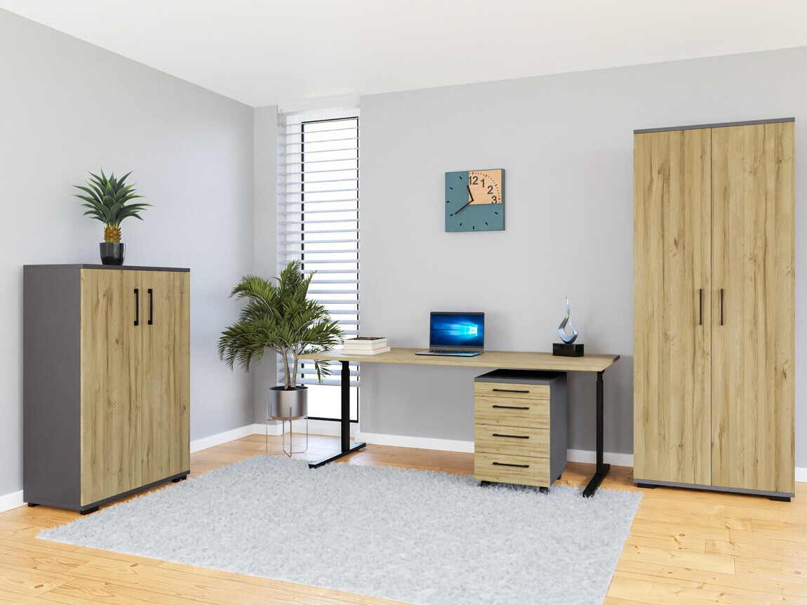 Set birou acasă Lartesi 114 (Grafit + Stejar Grandson)