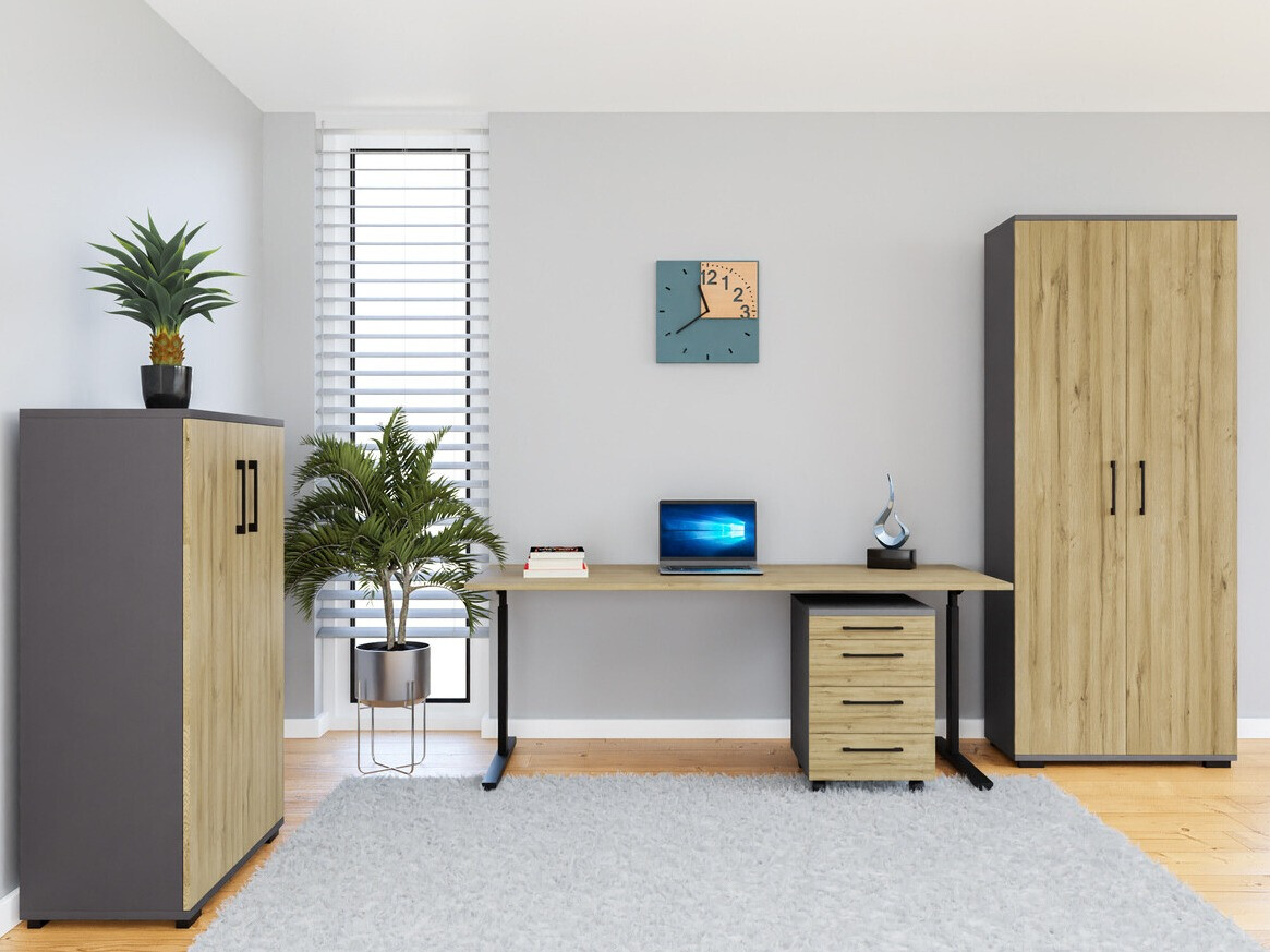Set birou acasă Lartesi 114 (Grafit + Stejar Grandson)