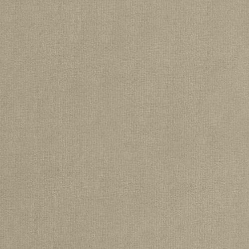 Pat TrendyNest Pelagia (Manila 02)