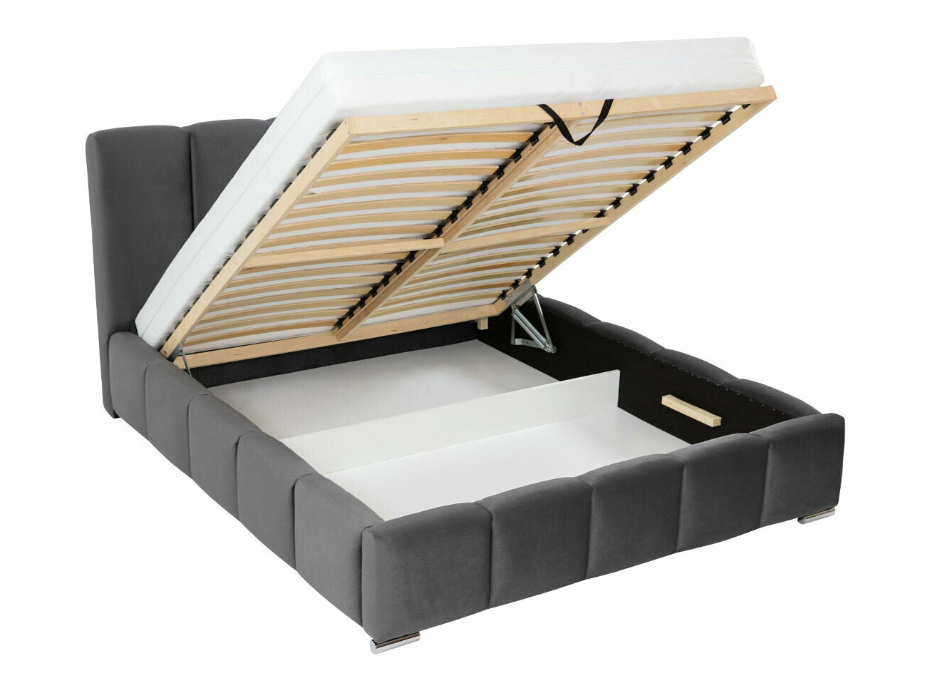 Pat TrendyNest Alceus I (Kronos 22)