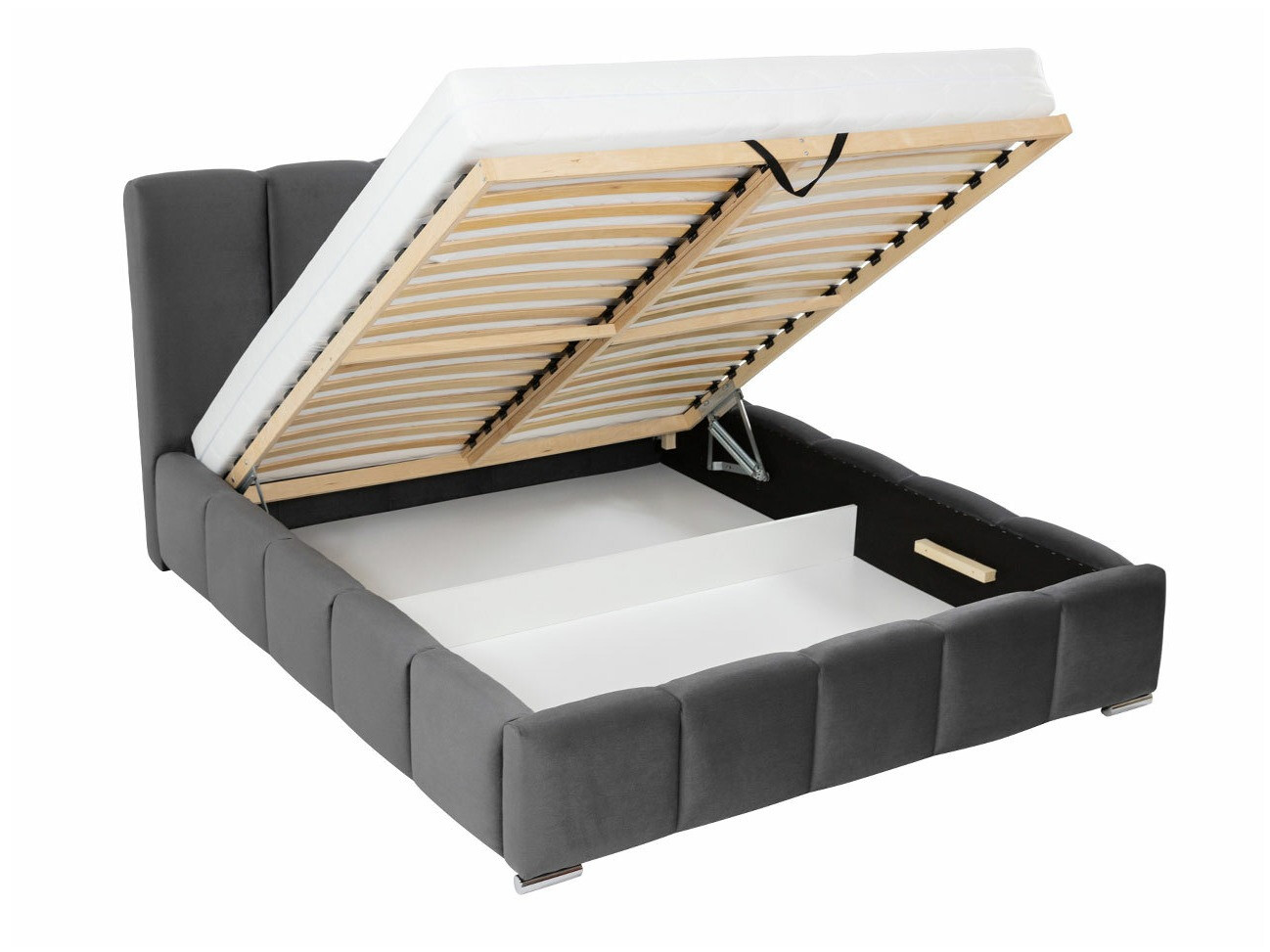 Pat TrendyNest Alceus I (Kronos 22)