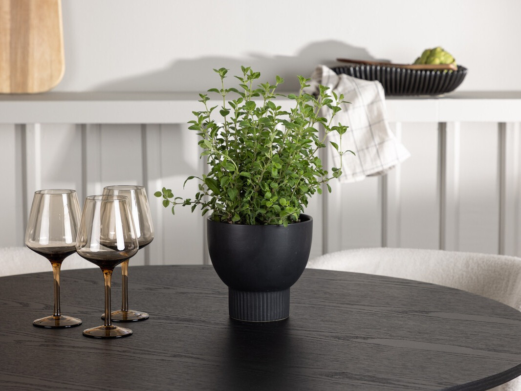 Set de dining Dallas 4356