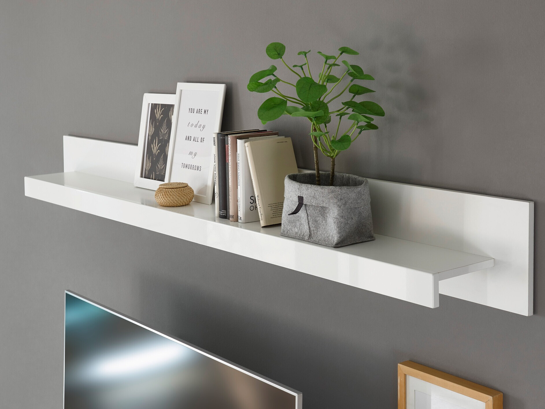 Raft de perete Dorbena 113