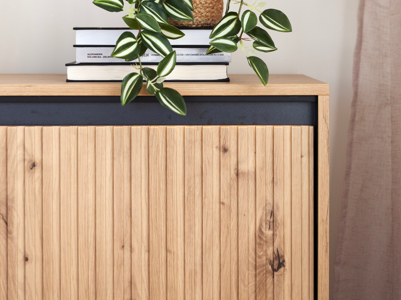 Comodă Fernolu 100 (Stejar artizan + Negru)