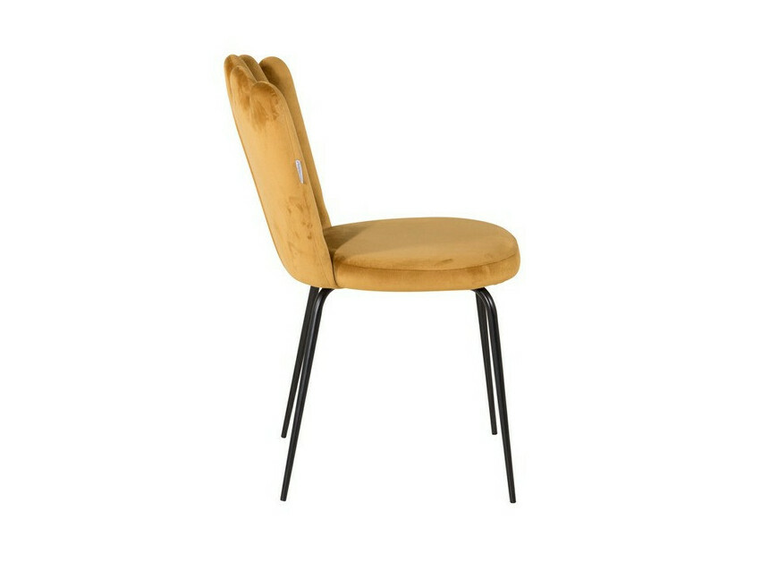 Set de dining Dallas 2624