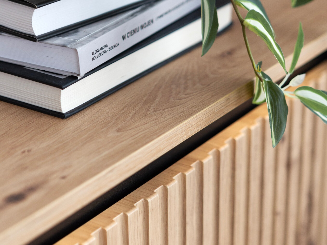 Comodă TV Fernolu 105 (Stejar artizan + Negru)