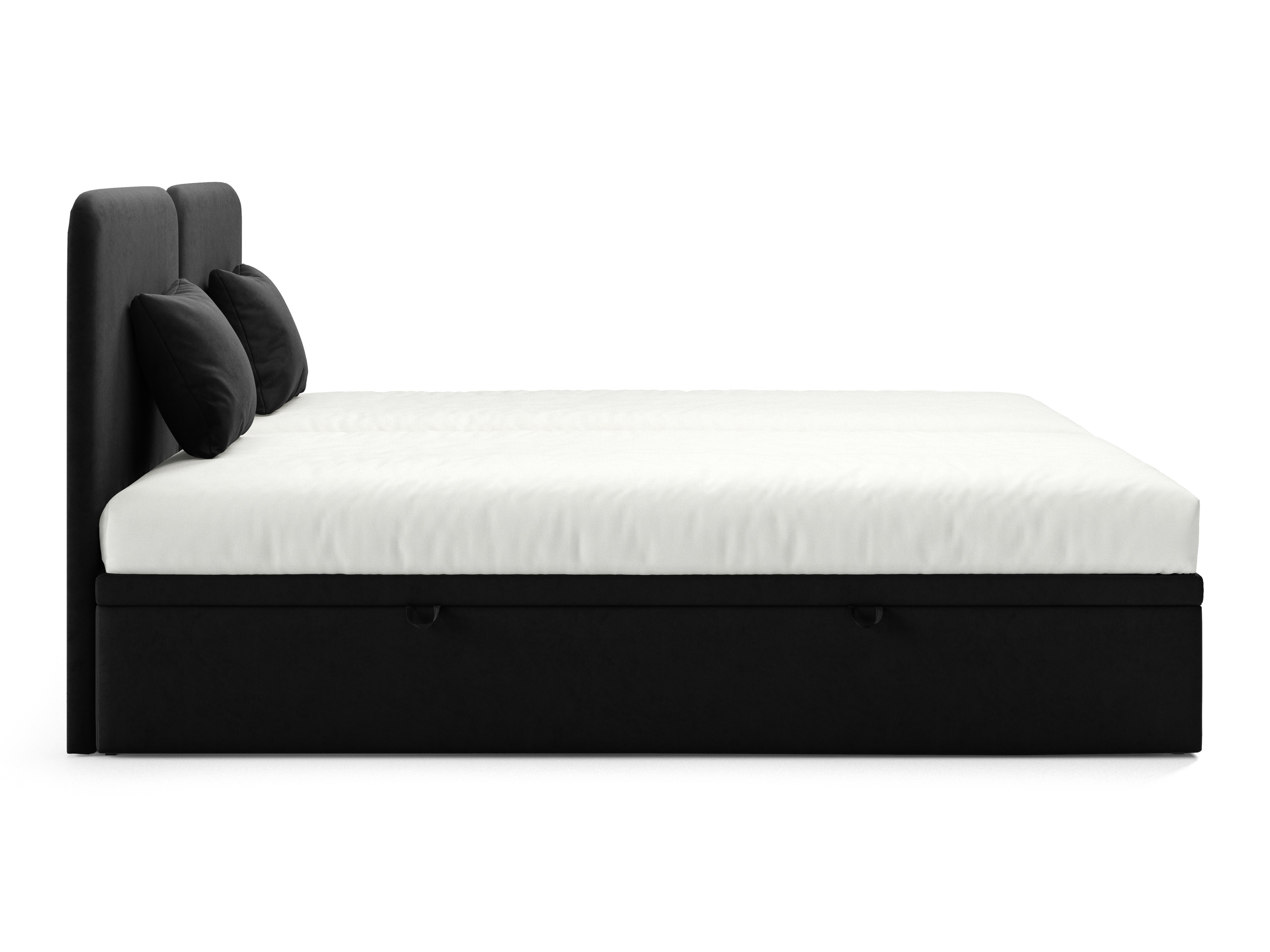 Pat Franklin 174 (Royal Velvet 22)