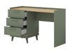 Birou Fertalu 103 (Verde + Stejar)