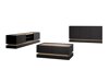 Set camera de zi Comfivo Dalvenu 104 (Negru + Stejar)