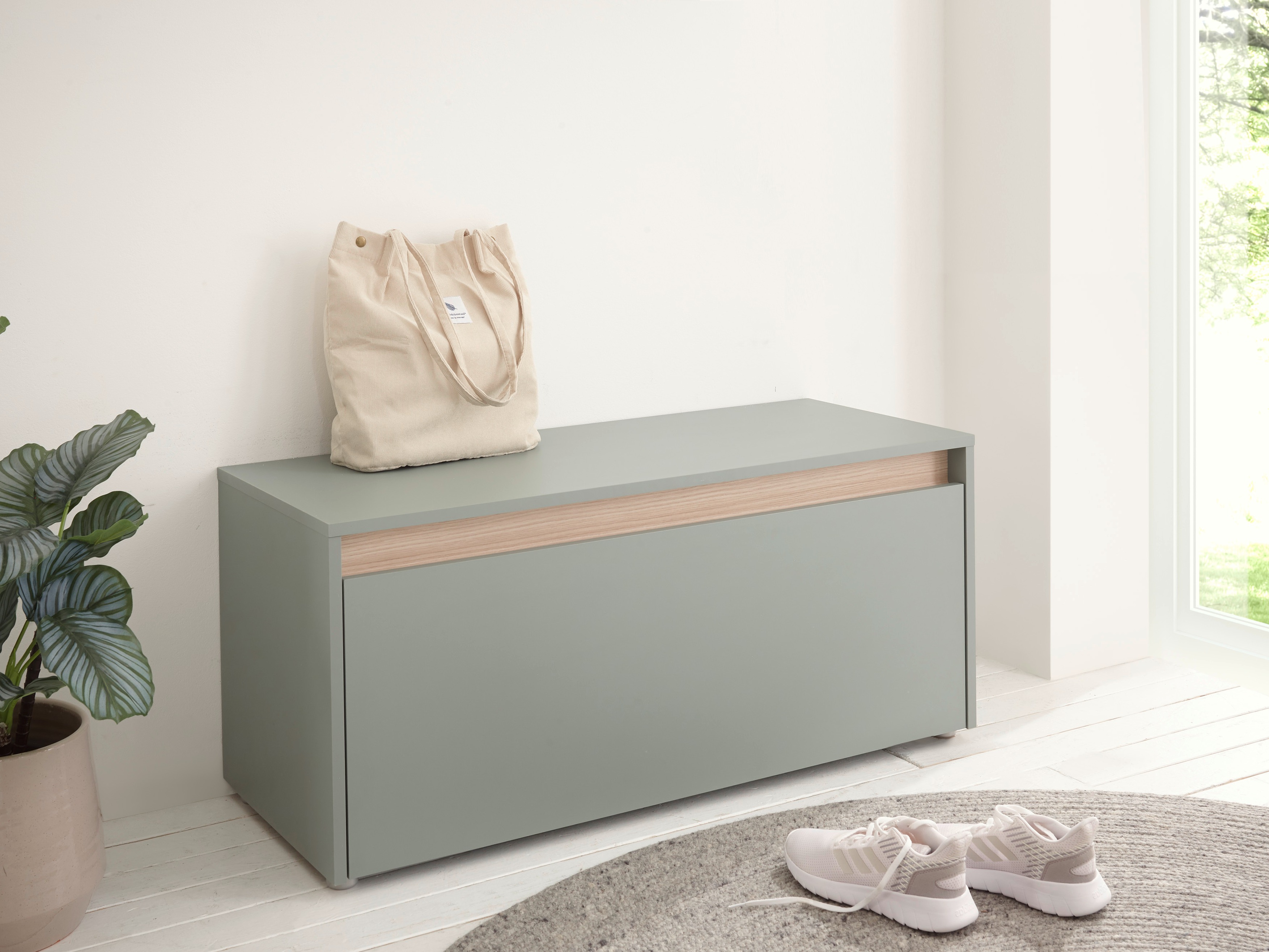 Dulap pentru pantofi Elbsori 163 (Verde)