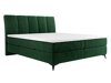 Pat continental ComfiDream 170 (Fresh 13)