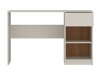 Birou Ferferu 105