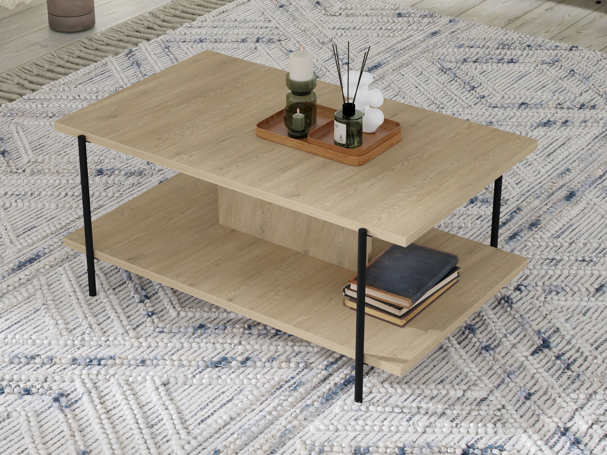 Set camera de zi Buffalo 209