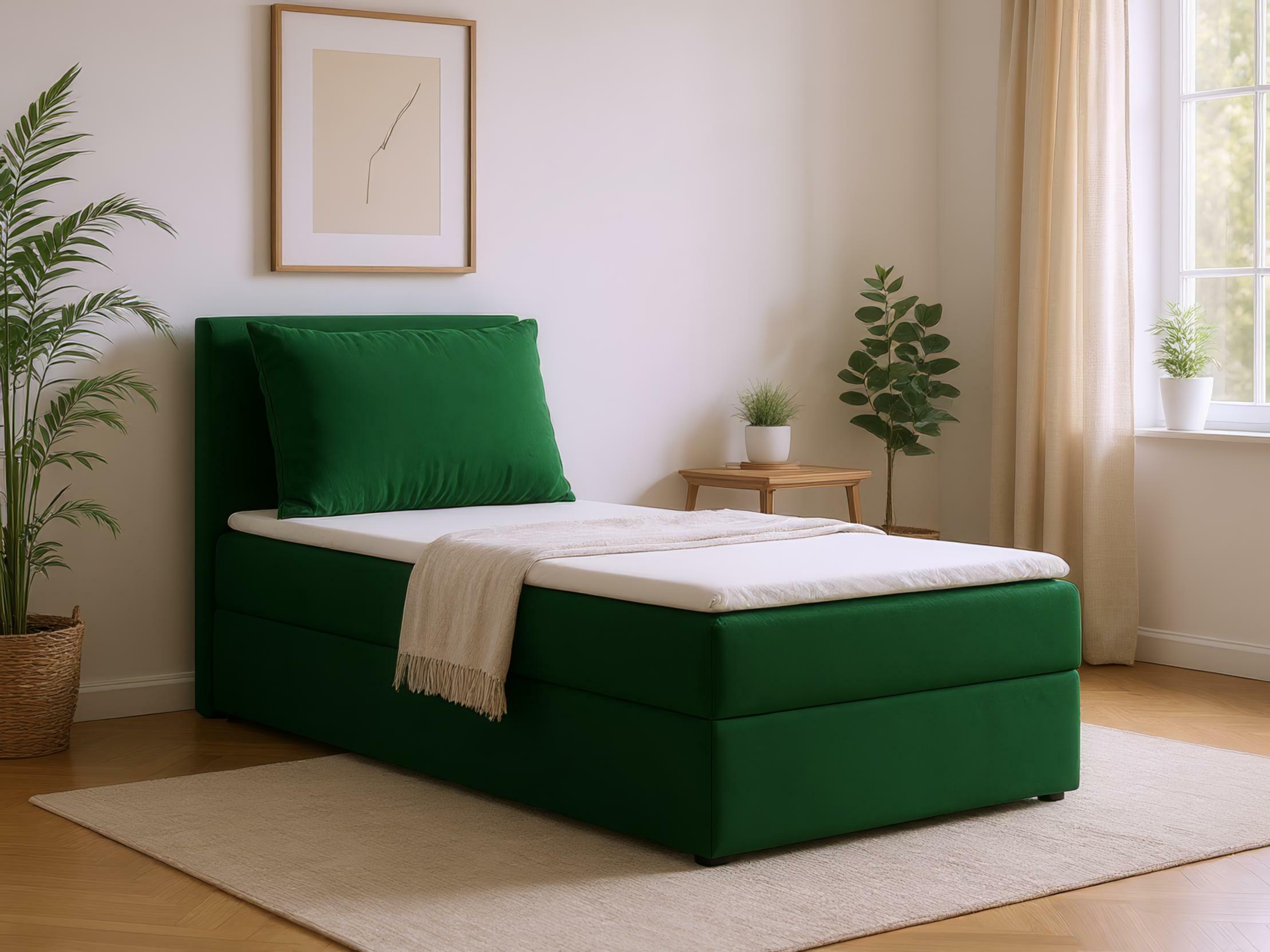 Pat boxspring Franklin 178 (Kronos 19)