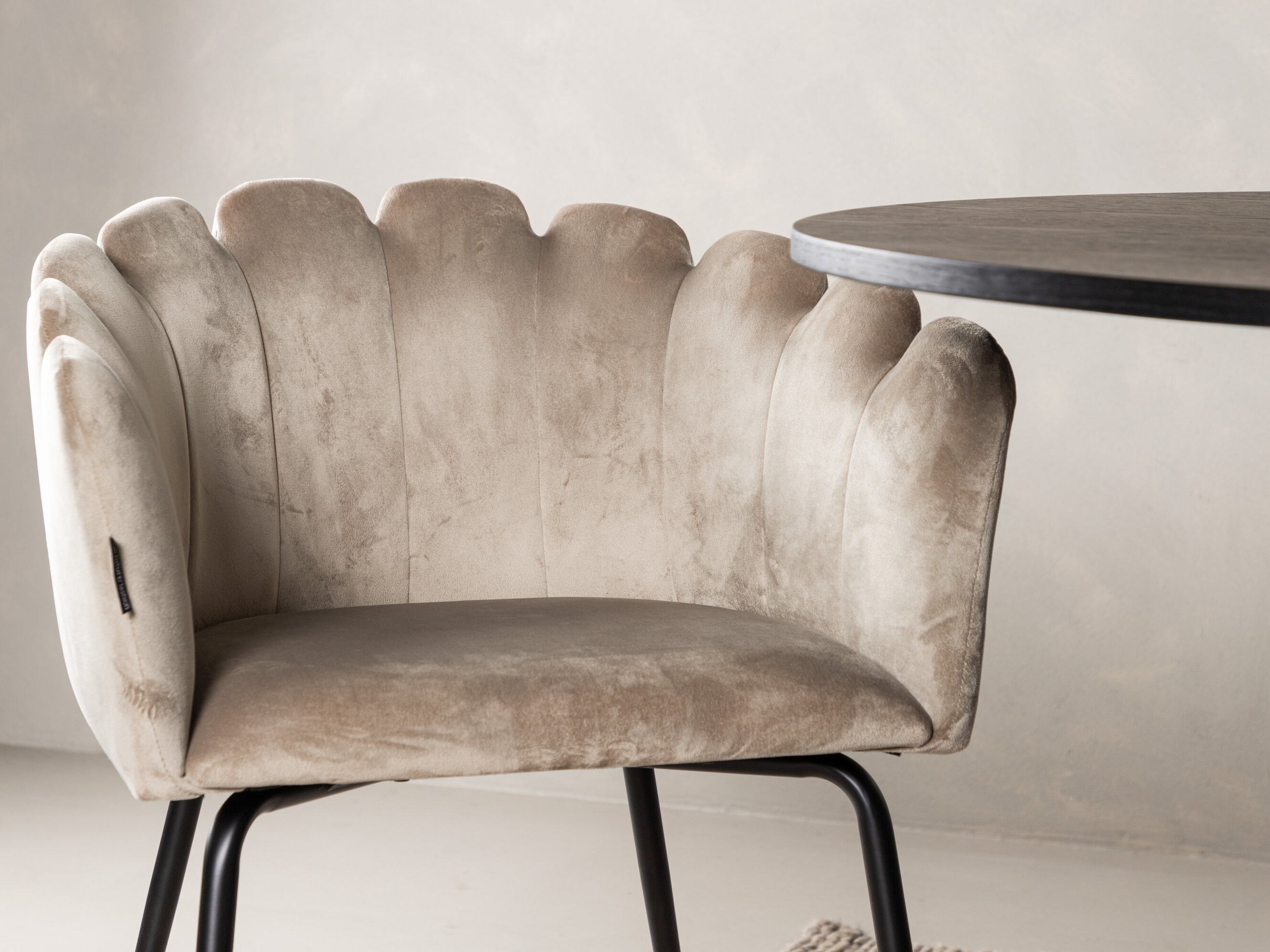 Set de mese Dallas 5081