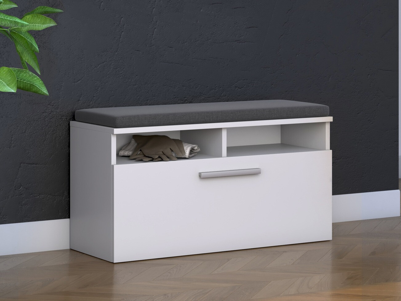 Dulap pantofi SR10711