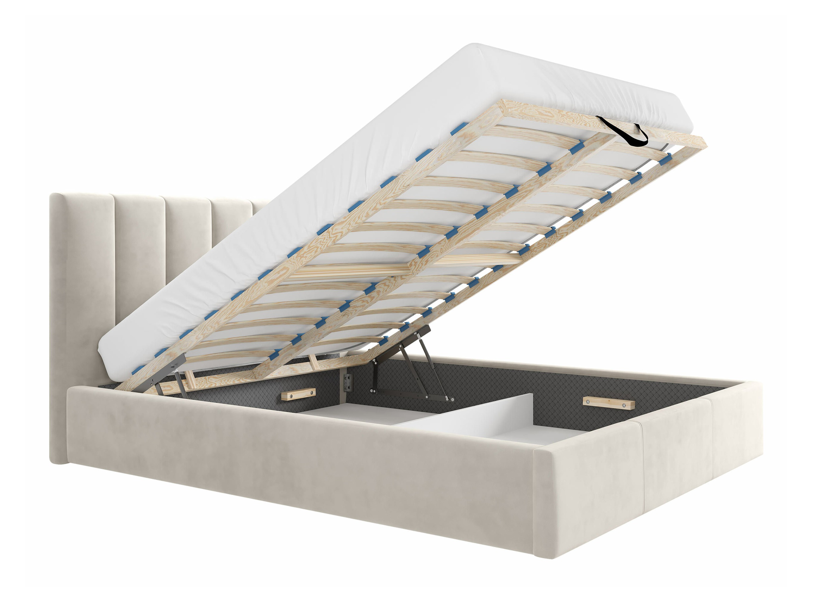 Pat ComfiDream Lumora (Fresh 01)