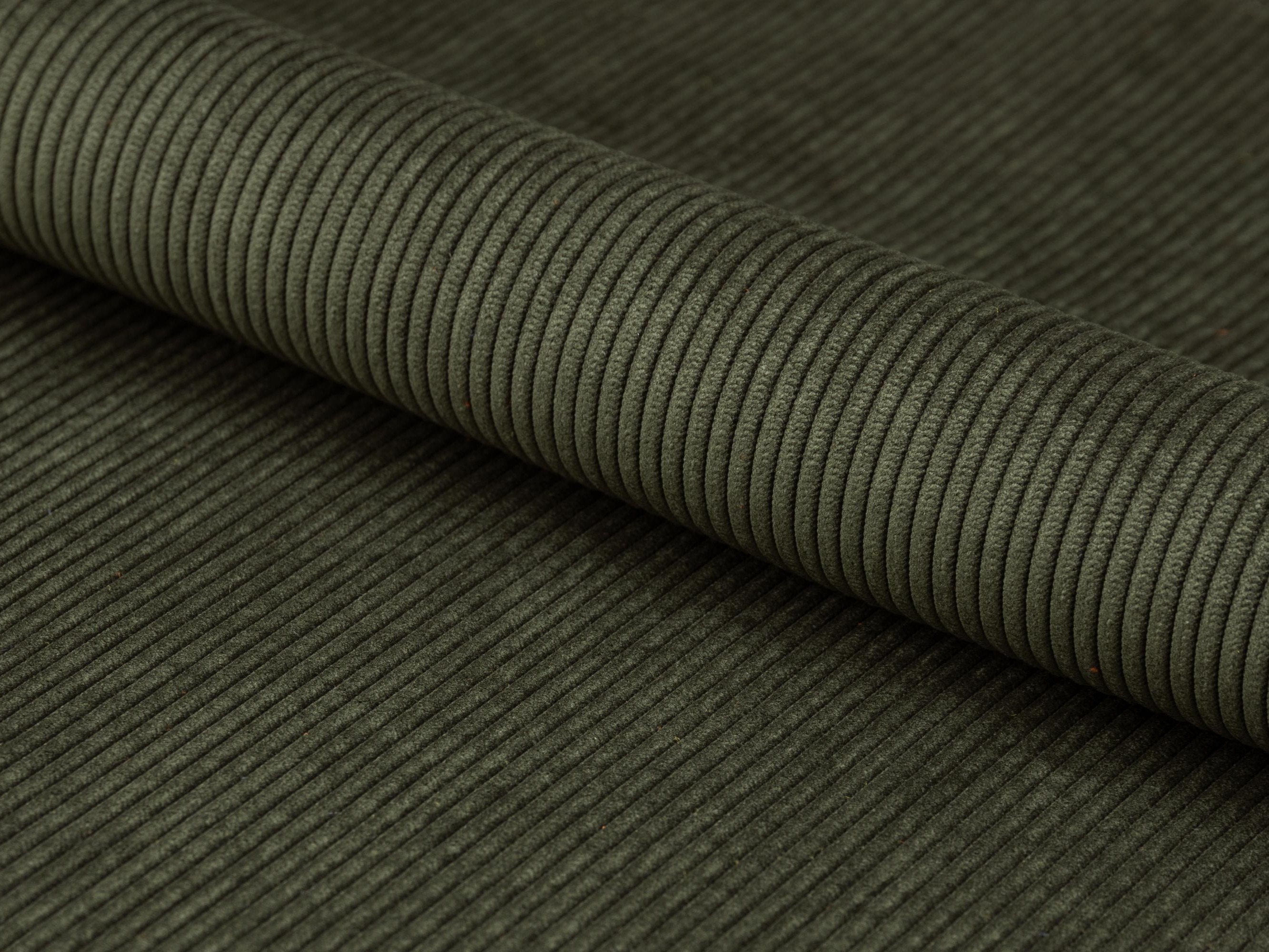 Canapea extensibilă Norsica 491 (Verde închis)