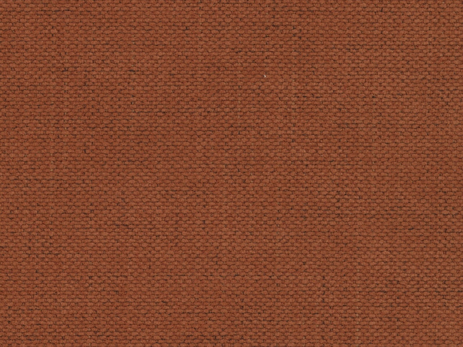 Fotoliu Beckley 355 (Moly 54)