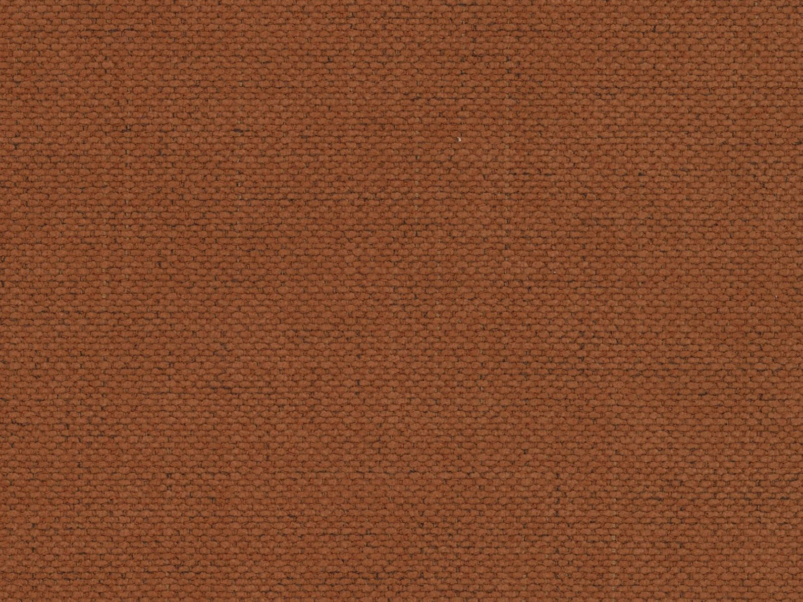 Canapea extensibilă Beckley 358 (Moly 54)