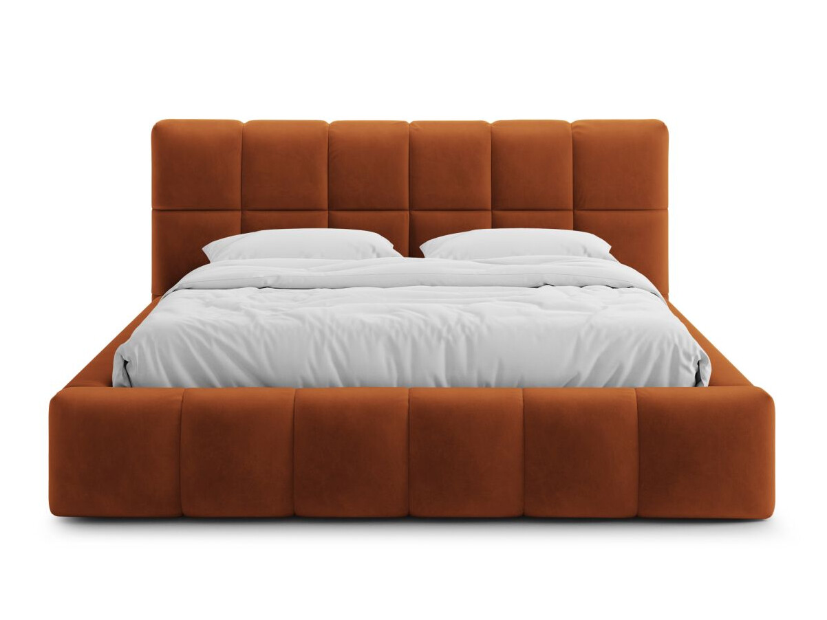 Pat Caltenu 106 (Bluvel 4215)