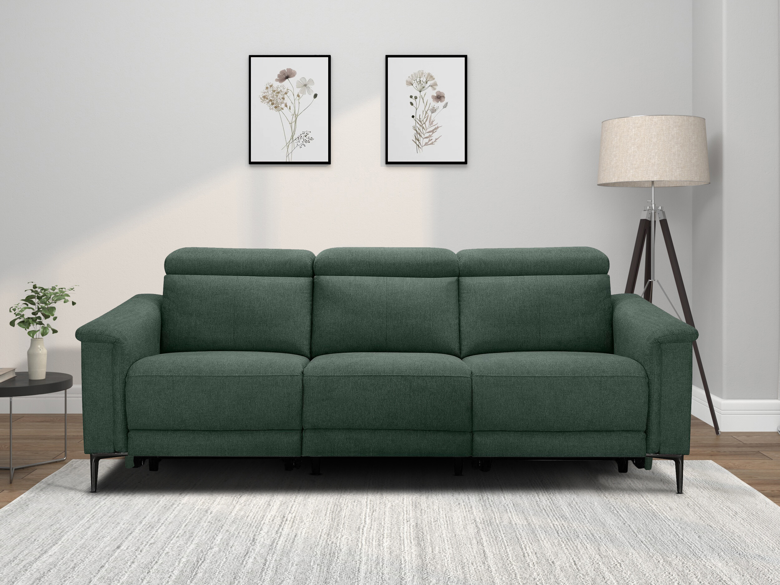 Canapea recliner Evamare 103 (Verde închis)