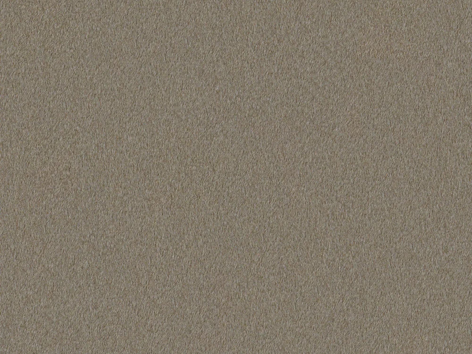 Pat Hesperia 132 (Runu 16)